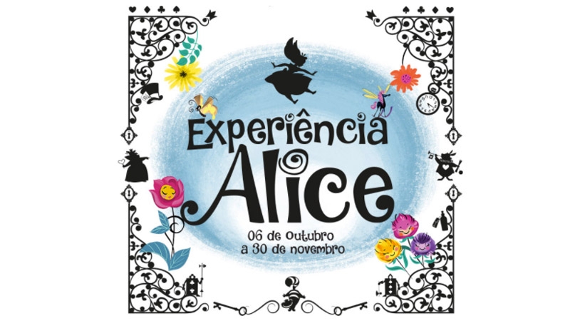 experiencia-alice